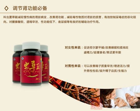 调节肾功能必备 调节肾功能必备