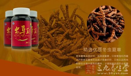 精选优质冬从夏草、血统很重要