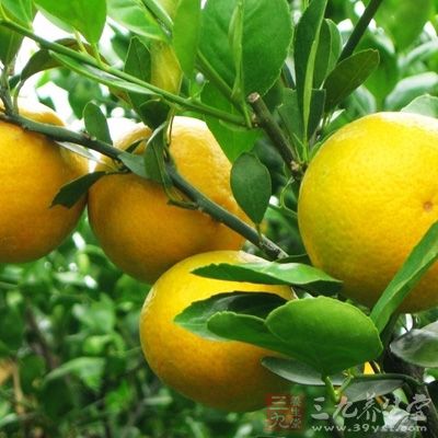 香精油通過對內(nèi)分泌系統(tǒng)的刺激，調(diào)節(jié)荷爾蒙的正常粉蜜，對人體的各類系統(tǒng)進(jìn)行調(diào)養(yǎng)