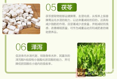 茯苓和泽泻 茯苓和泽泻