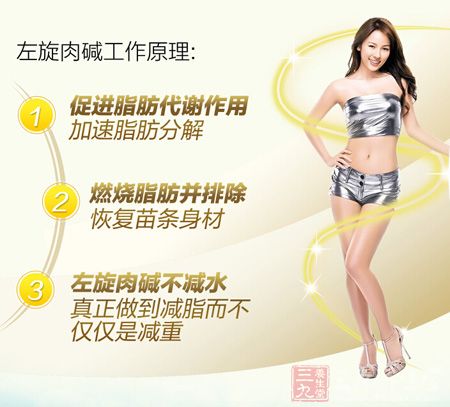 左旋肉碱工作原理 左旋肉碱工作原理