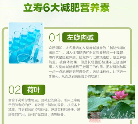 立寿6大减肥营养素 立寿6大减肥营养素
