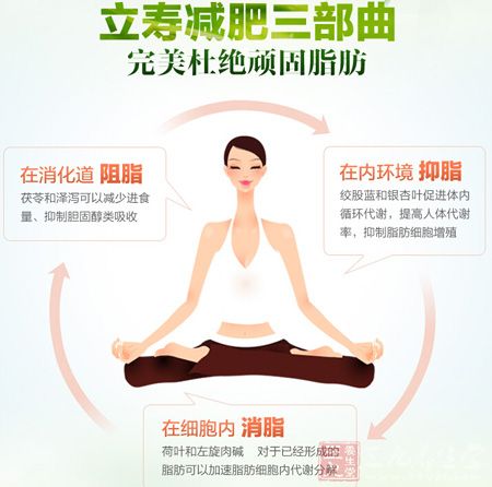 立寿减肥三部曲完美杜绝顽固脂肪 立寿减肥三部曲完美杜绝顽固脂肪