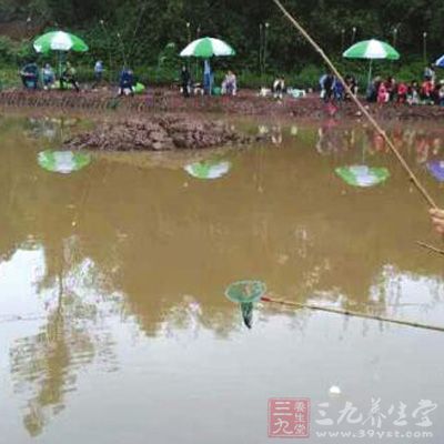 宜宾一小女孩钓龙虾溺亡 钓虾池塘暗藏危险(2