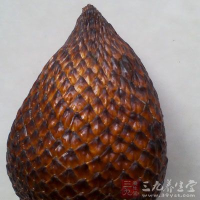 從中醫(yī)角度看，蛇皮果具有疏散風(fēng)熱、止渴、通乳、補(bǔ)中益氣的功效