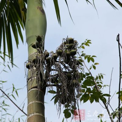 對(duì)于一些本身住在嚴(yán)寒地區(qū)的人群，吃檳榔能夠幫助患者緩解勞動(dòng)過(guò)后的疲勞