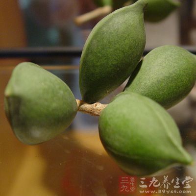 因嚼食動作頻繁，超出正常負(fù)荷，造成牙齒咬耗(磨損)，以及牙床動搖