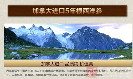 加拿大进口5年根西洋参 加拿大进口5年根西洋参