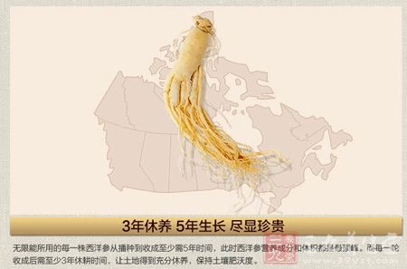 3年休养 5年生长 尽显珍贵 3年休养 5年生长 尽显珍贵