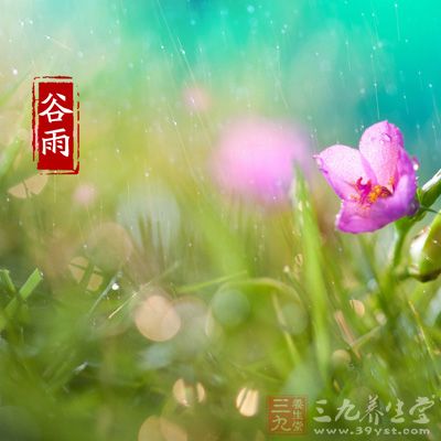 谷雨是春天后一個節(jié)氣