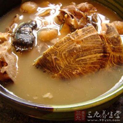 魚鰾龜肉湯