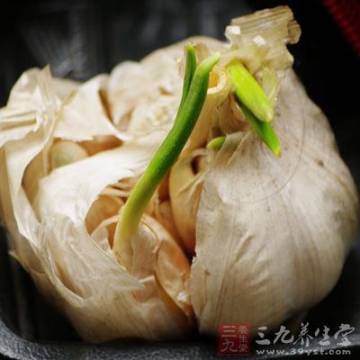 发芽的大蒜导致鳞茎萎缩、干瘪，食用价值大大降低，甚至腐烂