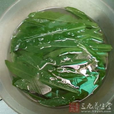 在青菜上喷点水