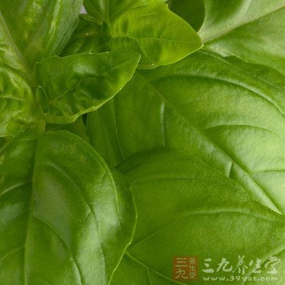 具有豐富的蛋白質(zhì)、脂肪、膳食纖維和礦物質(zhì)