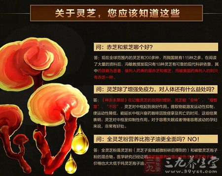 关于灵芝，您应该知道这些
