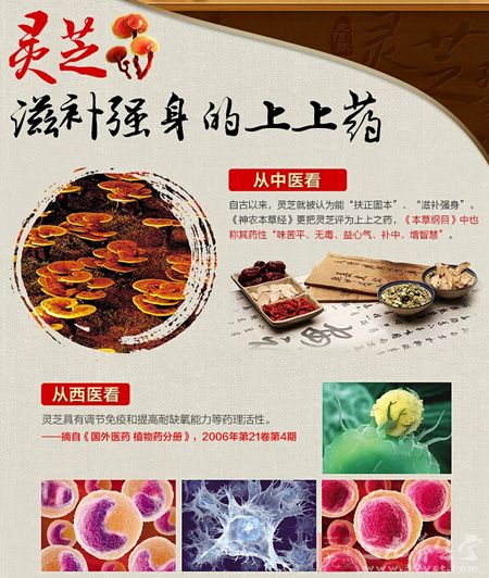 灵芝 滋补强身的上上药