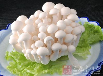 白玉菇片