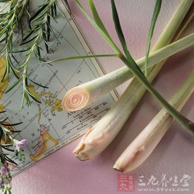 将香茅煎水洗身，可祛风消肿，解腥臭