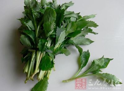 让我们看看苦菜有哪些功效吧. 苦菜一年生草本植物.