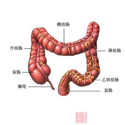 进展期大肠癌t分期及新辅助化疗疗效的msct评价