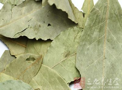 香叶(bay leaf 亦作laurel leaf)属于樟科类植物(Lauraceae)，常绿树甜