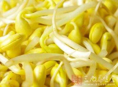 黃豆芽能夠維持體溫和保護(hù)內(nèi)臟