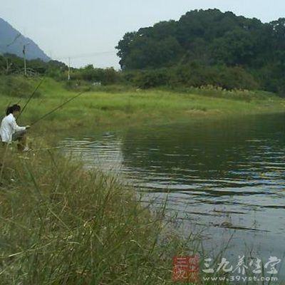 钓鱼选窝技巧