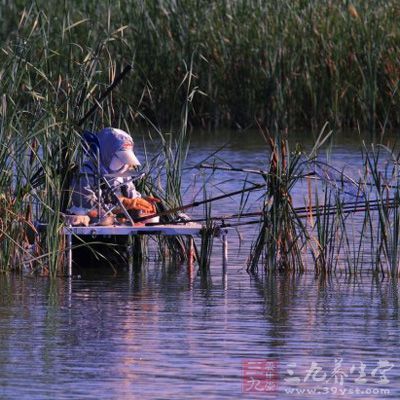 看水草找鱼、分清里外鱼情