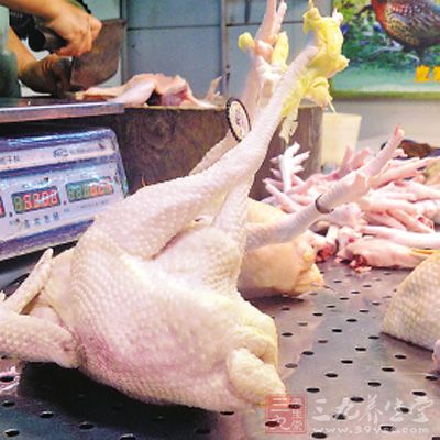 深圳鸡档改造进展慢 生鲜不规范现象仍存