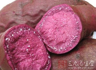 紫番薯是集营养、保健于一身的番薯特用食品