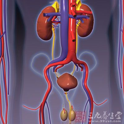 故而保养肾之精气是防止早衰、延年益寿的重要内容