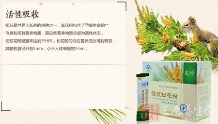 松花是世界上长寿的树种之一 松花是世界上长寿的树种之一