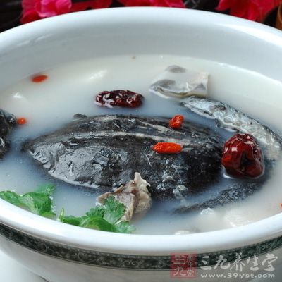 甲魚湯的做法