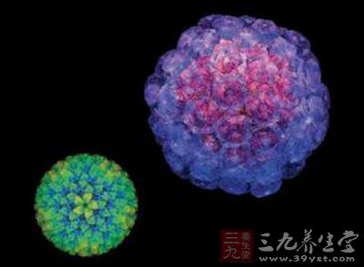 CD4细胞数量决定艾滋病的诊疗