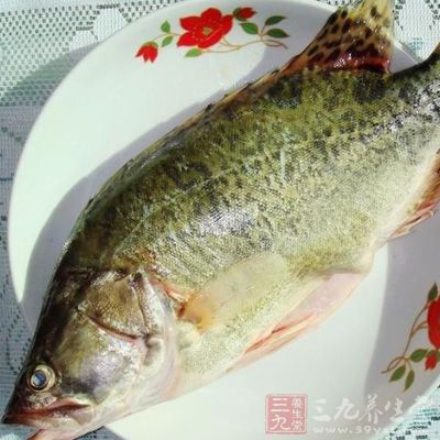 鱖魚(yú)1條去腸雜、魚(yú)鱗