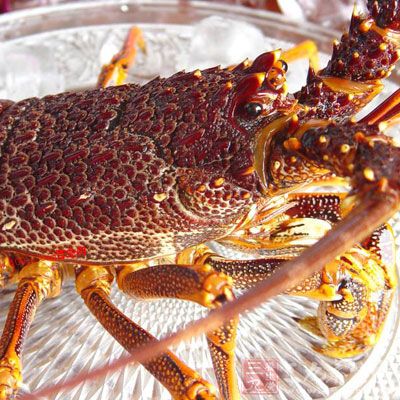 龙虾的脂肪含量不但比畜禽肉低得多，比青虾、对虾还低许多