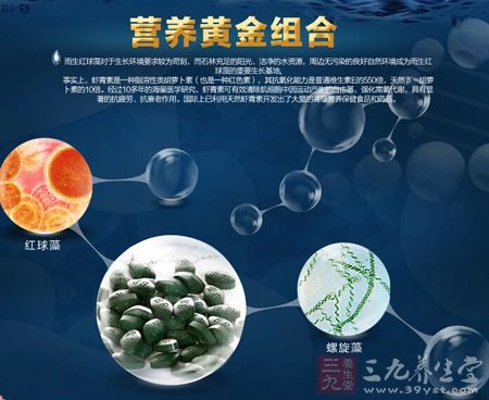 营养黄金组合 营养黄金组合