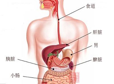 大多数人都在轻视脾胃的重要性