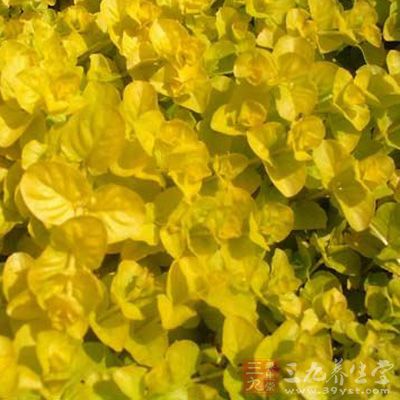 含角蛋白、氨基酸 含角蛋白、氨基酸