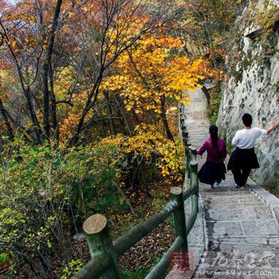 登山下坡,切勿迎风而立,避免受凉