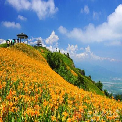 台湾的花季从二月开始，届时花讯一期接一期