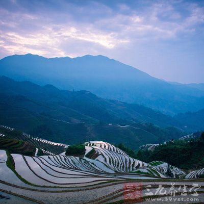 广西龙脊梯田始建于元朝，完工于清初，依山而造，海拔从300米到1100米不等