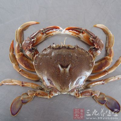 <em>怀孕不能吃什么</em> 准妈妈需要注意的饮食禁忌(1