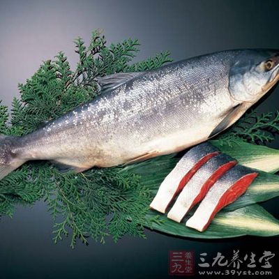 大馬哈魚是名貴的大型經(jīng)濟魚類