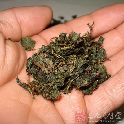 提前准备好500克的桑叶和麻叶