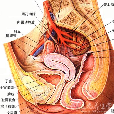 盆腔积液是怎么引起的