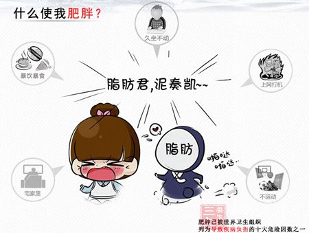 什么使我肥胖 什么使我肥胖