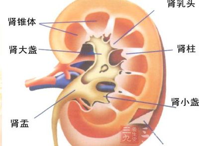 尿毒症时肾脏排钾能力下降，此时易于出现高钾血症