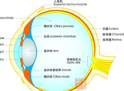 球结膜水肿严重的角膜炎