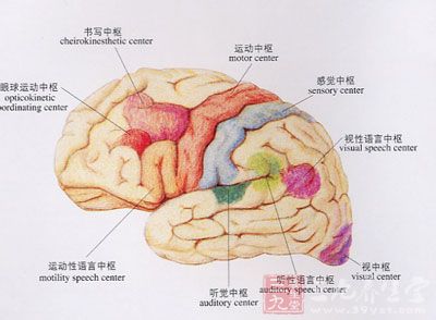 脑萎缩的症状表现大的就是记忆障碍